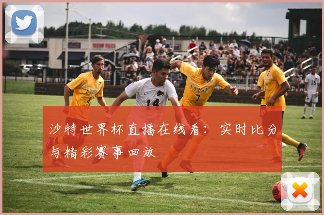 沙特世界杯直播在线看：实时比分与精彩赛事回放