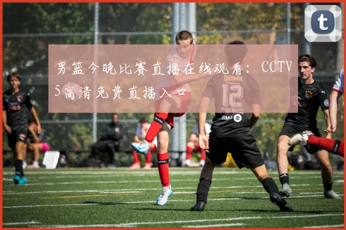 男篮今晚比赛直播在线观看：CCTV5高清免费直播入口