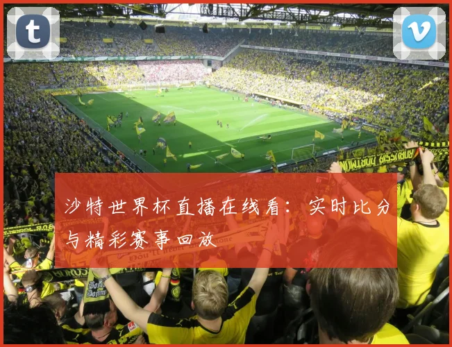 沙特世界杯直播在线看:实时比分与精彩赛事回放