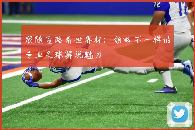 跟随董路看世界杯：领略不一样的专业足球解说魅力