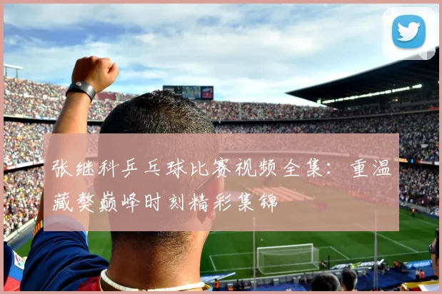 张继科乒乓球比赛视频全集：重温藏獒巅峰时刻精彩集锦